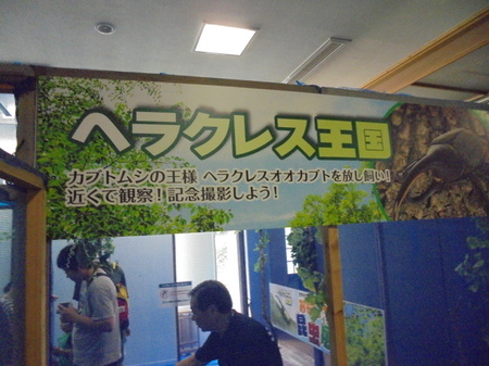 DSC00143.JPG