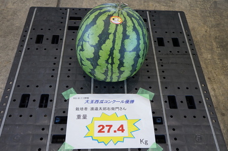 DSC01116.JPG