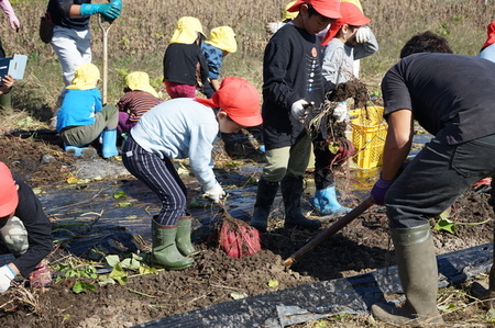 DSC01222.JPG