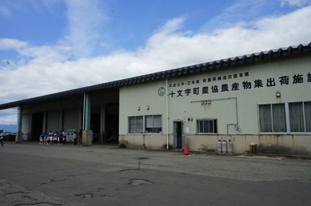 DSC01917.JPG
