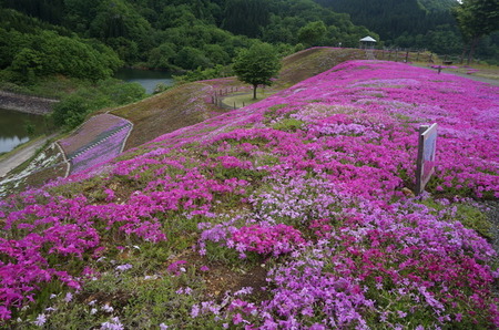 DSC02021.JPG