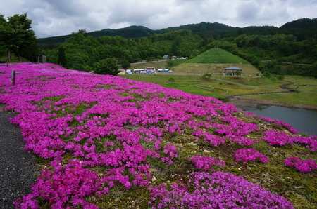 DSC02025.JPG