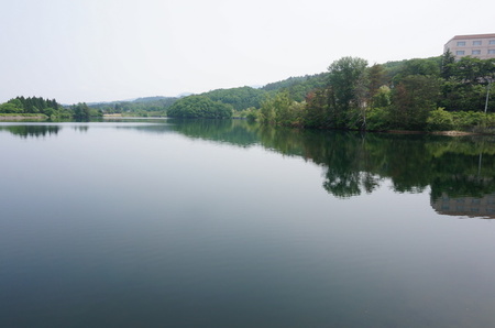 DSC02050.JPG