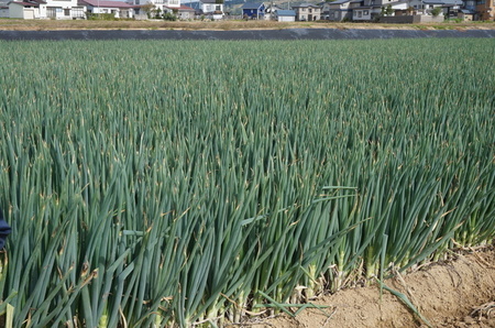 DSC04077.JPG