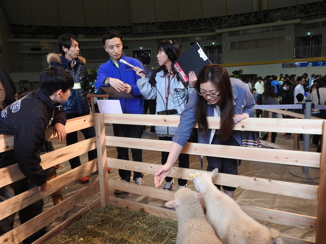 秋田ふるさと村 ゴールデンウィーク特別イベント めっちゃさわれる動物園 横手かまくらエフエムスタッフブログ