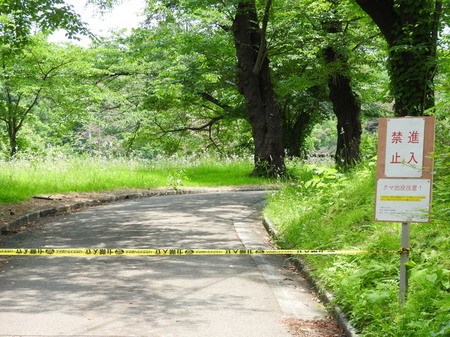 DSCN0870.JPG