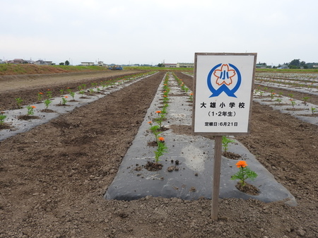 DSCN0892.JPG