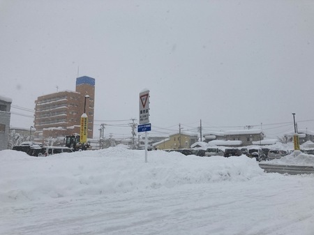 IMG-0442.jpg
