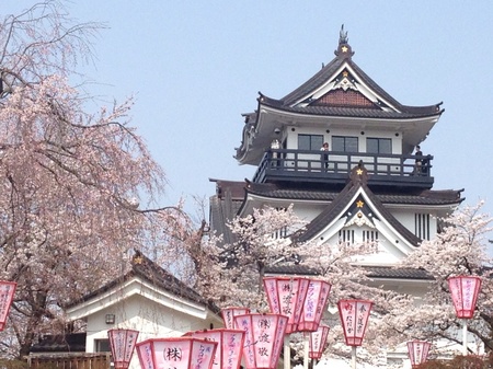 Image-10.jpg