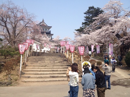 Image-9.jpg